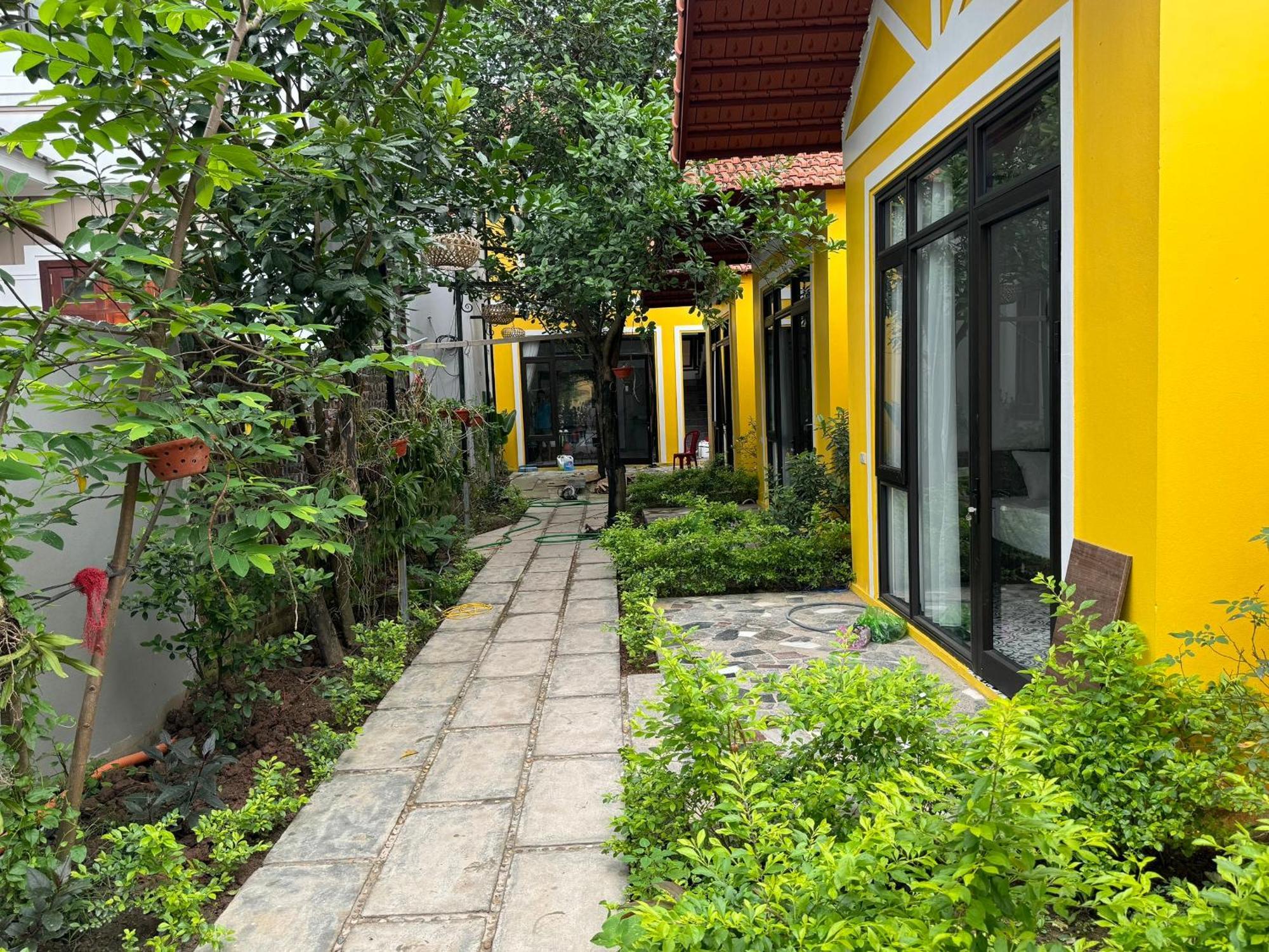 Azalea Tam Coc Ninh Binh Guest House Luaran gambar