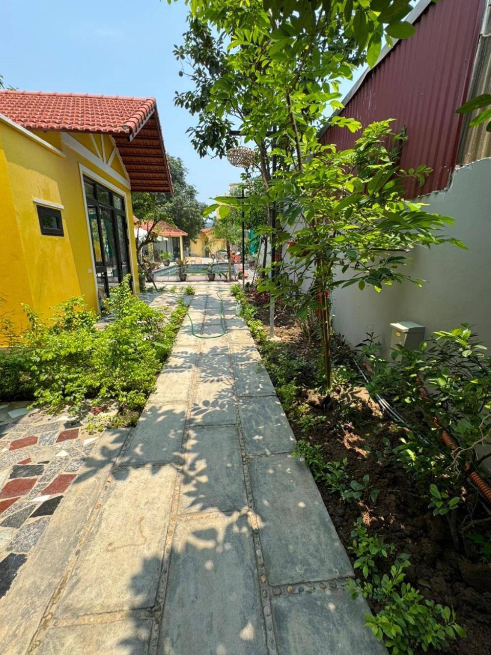 Azalea Tam Coc Ninh Binh Guest House Luaran gambar